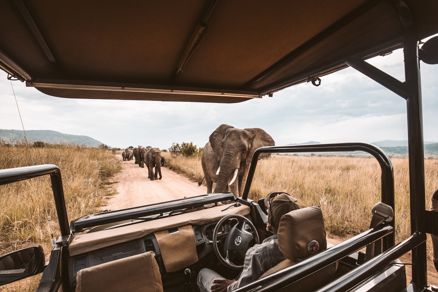 How to Prepare for Your Wilpaththu Safari Adventure