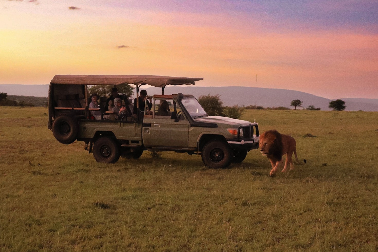 Choosing the Best Wilpaththu Safari Package for You